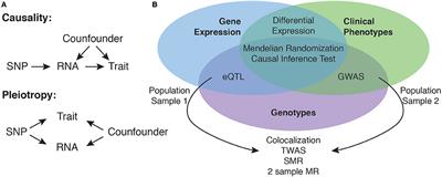 Using Gene Expression to Annotate Cardiovascular GWAS Loci